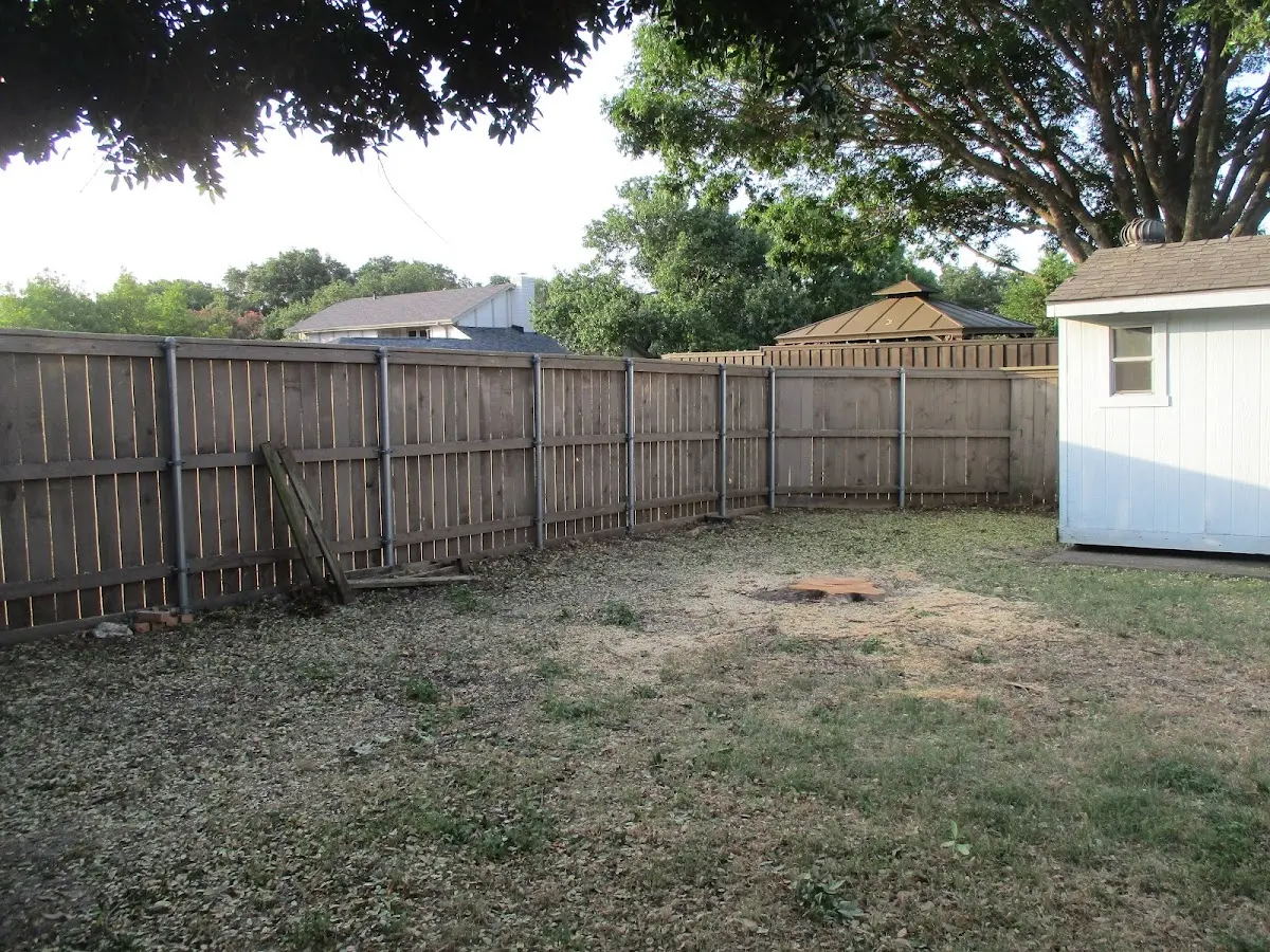 Cleared yard after professional tree removal in Red Oak