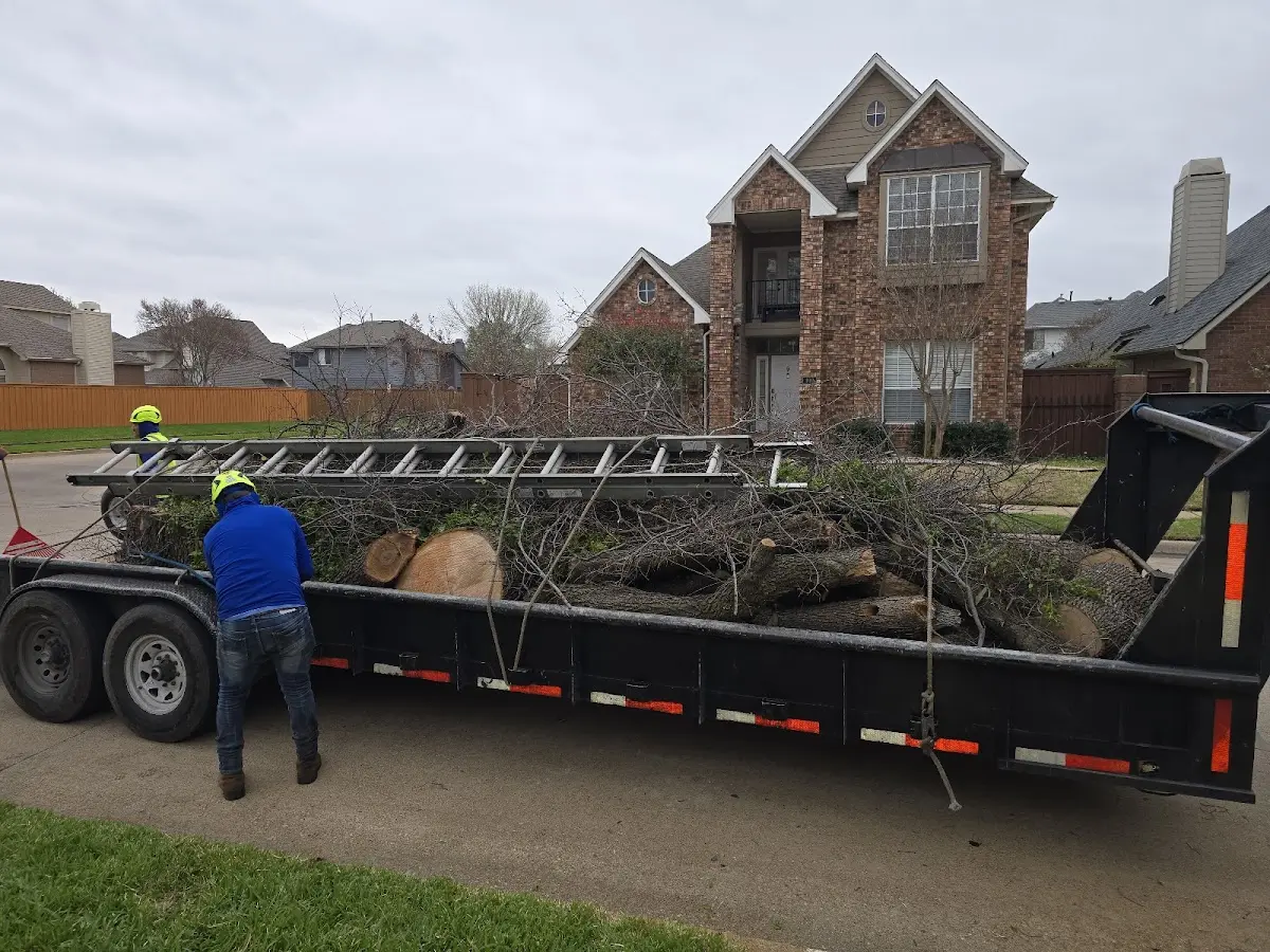 Expert Tree Pest Control with proper safety equipment in Red Oak